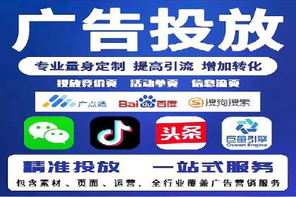 大型SEM服务公司案例分析